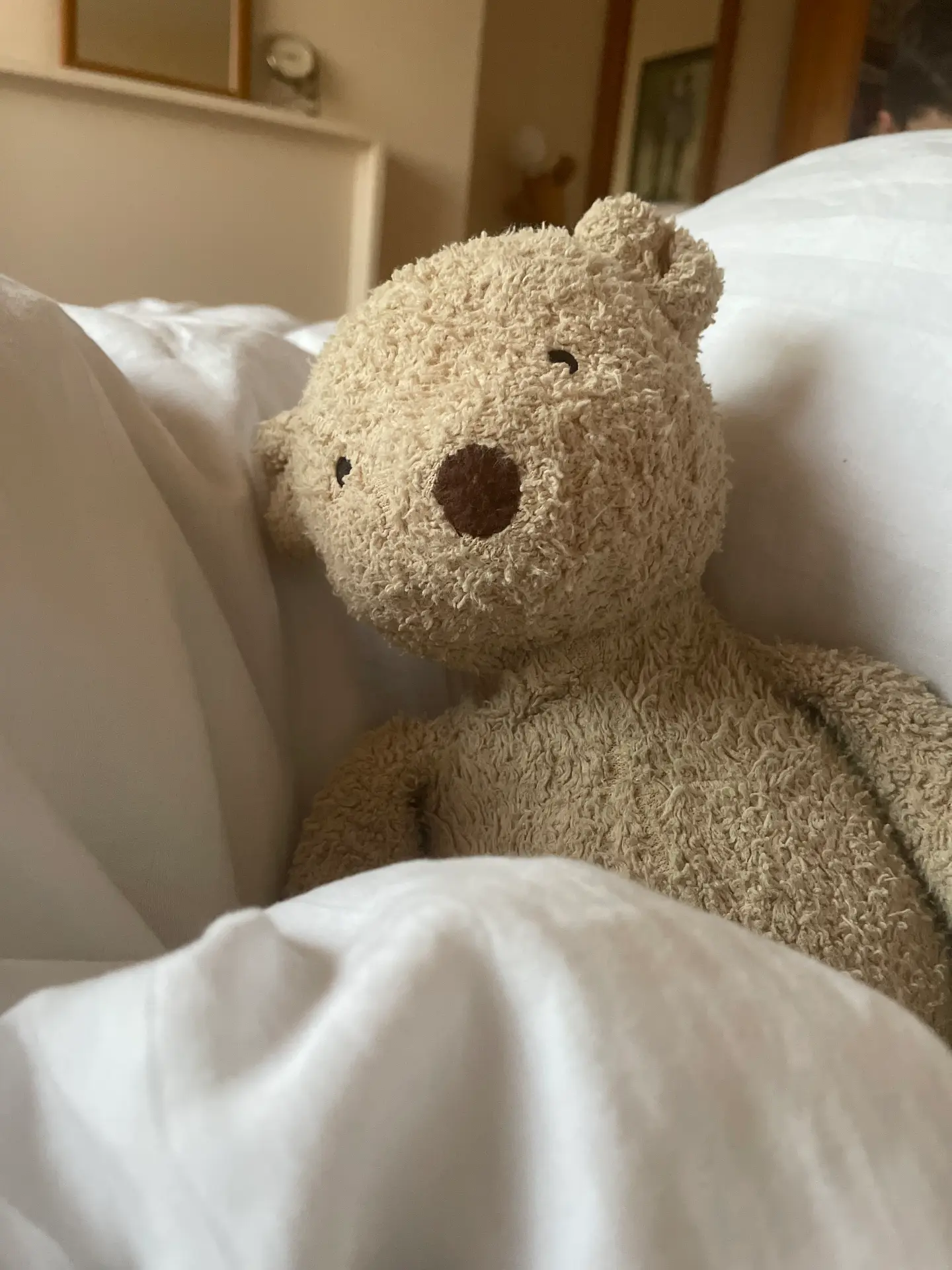 A small curly cream teddy bear tucked into bed under fluffy white bedding