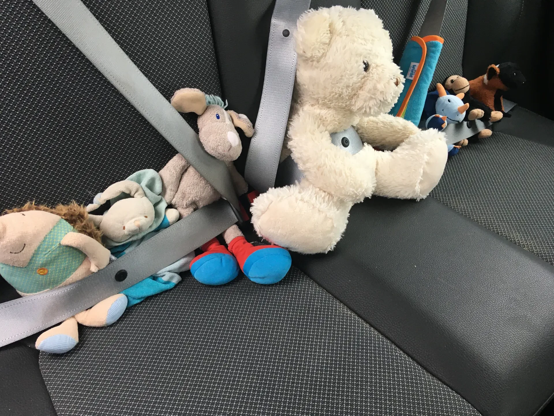 A cream teddy bear, a ragdoll and several soft toys buckled into the back seat of a car for a road trip